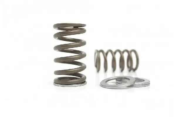 Kelford Cams 2JZ Valve Springs (2JZ-GTE) KVS02